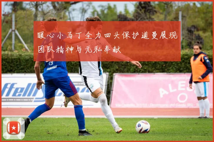 暖心小马丁全力回头保护道曼展现团队精神与无私奉献